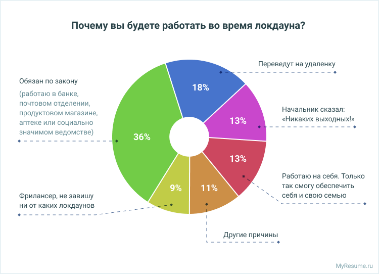 исследование портала myresume.ru