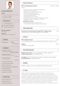 резюме техника образец