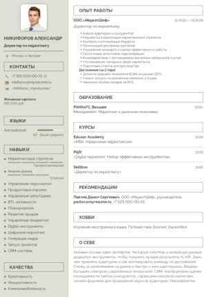 резюме директора по маркетингу пример