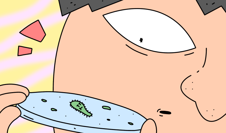 профессии с биологией