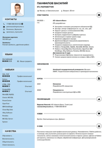 резюме ETL developer