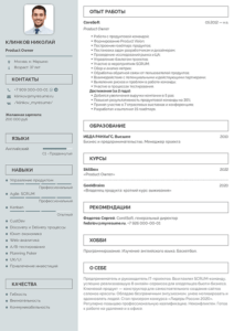 резюме Product Owner